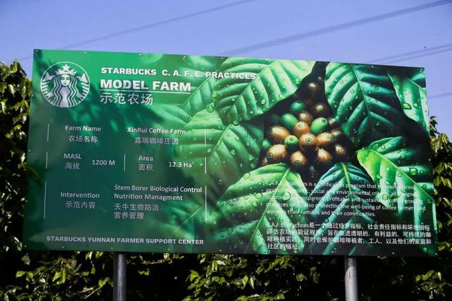 选择了一条不喧哗的路不朽情缘在中国星巴克(图3)